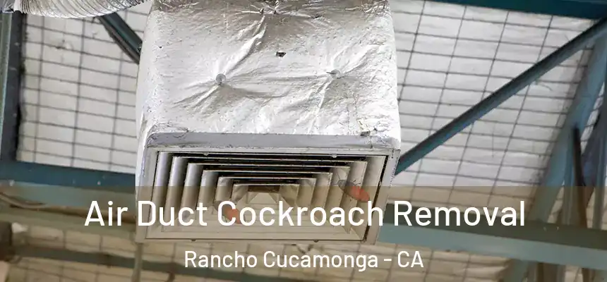 Air Duct Cockroach Removal Rancho Cucamonga - CA