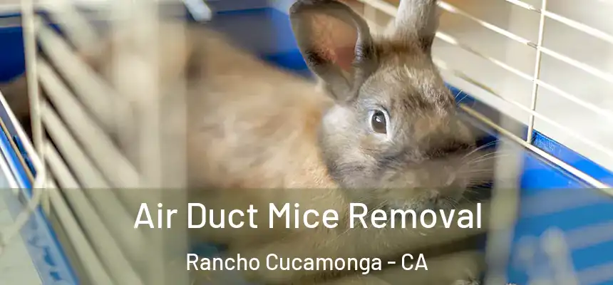 Air Duct Mice Removal Rancho Cucamonga - CA