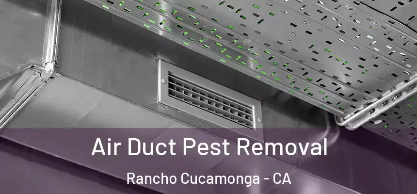  Air Duct Pest Removal Rancho Cucamonga - CA