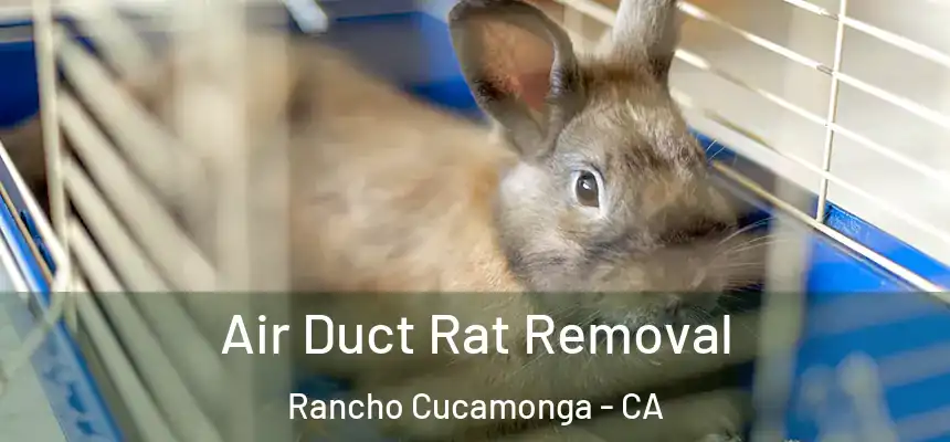Air Duct Rat Removal Rancho Cucamonga - CA