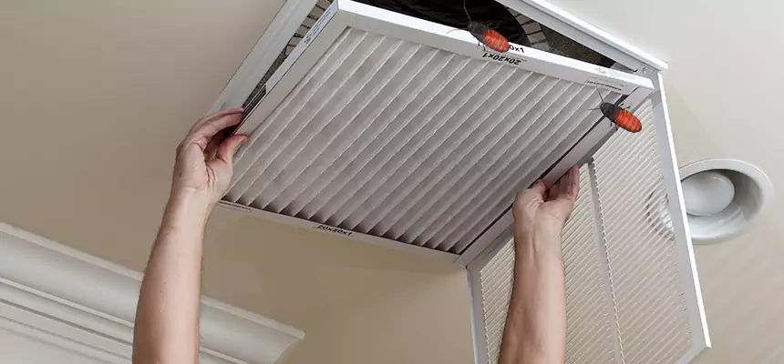 Preventive Cockroach-Proofing for Ducts in Rancho Cucamonga