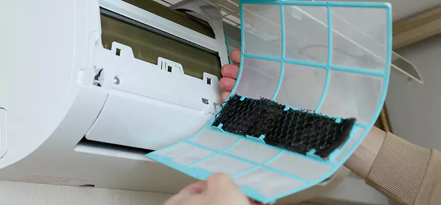 Gentle Ductwork Odor-Control Pet Dander Duct Cleaning in Rancho Cucamonga, CA