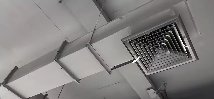 Our Rodent Droppings In Vents Services in Rancho Cucamonga, CA