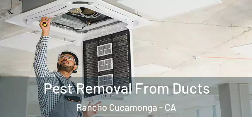 Pest Removal From Ducts Rancho Cucamonga - CA