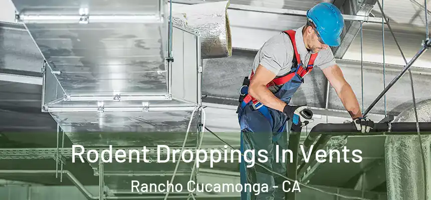 Rodent Droppings In Vents Rancho Cucamonga - CA
