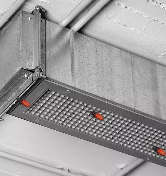 Affordable Insect Removal from Air Ducts in Rancho Cucamonga, CA
