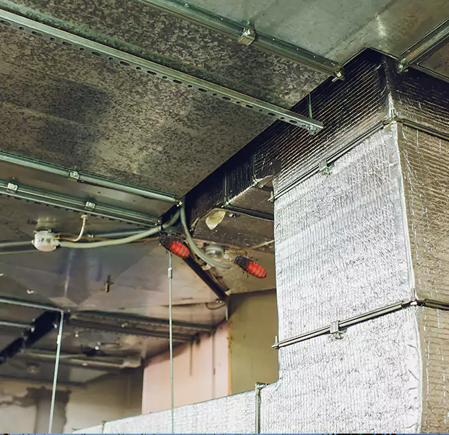 Why Homeowners & Businesses Trust Us in Rancho Cucamonga, CA?