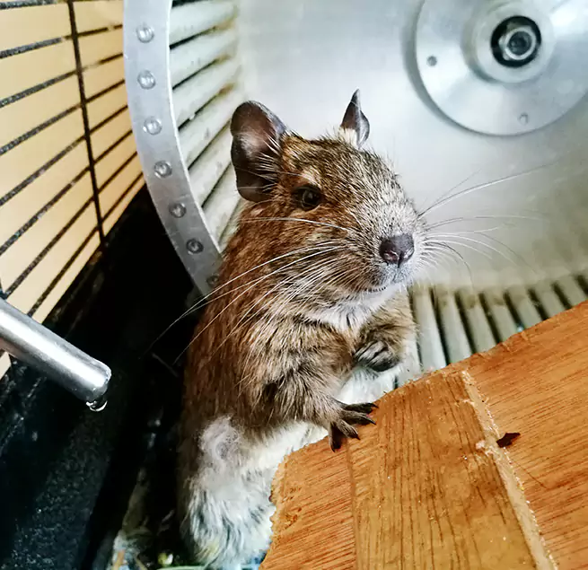 Why Homeowners & Businesses Trust Us Rancho Cucamonga, CA