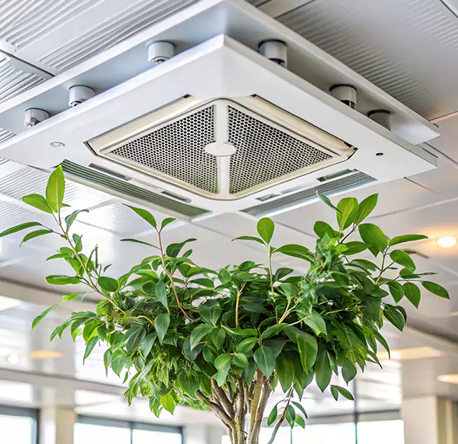 Why Homeowners & Businesses Trust Us in Rancho Cucamonga, CA?